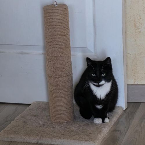 Elena - junior à conquérir #2