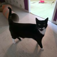 Elena - junior à conquérir