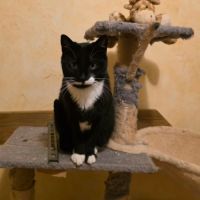 Elena - junior à conquérir #5