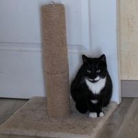 Junior à conquérir - elena #2