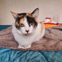 Kadouce - junior adorable #3