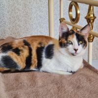 Kadouce - junior adorable #4