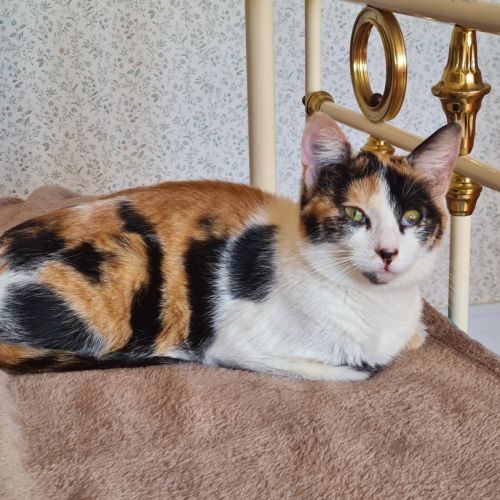 Adorable junior - kadouce #4