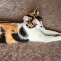 Adorable junior - kadouce #1