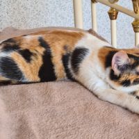 Adorable junior - kadouce #5