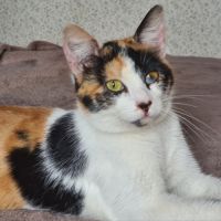 Adorable junior - kadouce #6