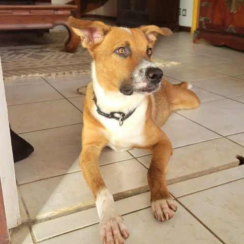 Aloka, votre créole pour la vie #6