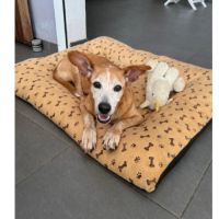 Rowena un amour inconditionnel #2