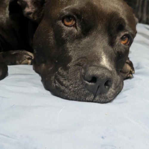 Paty se languit de trouver sa famille #9