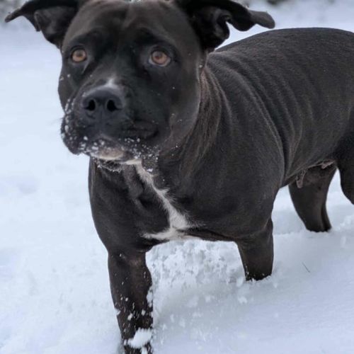 Paty se languit de trouver sa famille #10