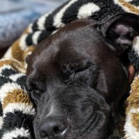 Paty se languit de trouver sa famille #3