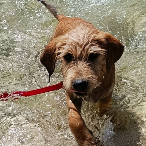 Youpi, bébé joyeux #4