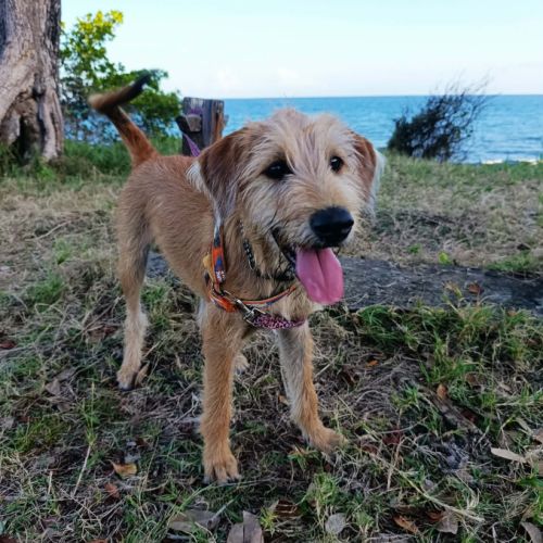 Youpi, bébé joyeux #0