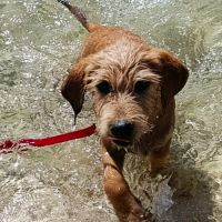 Youpi, bébé joyeux #4