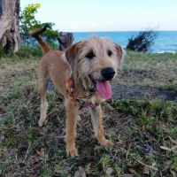 Youpi, bébé joyeux