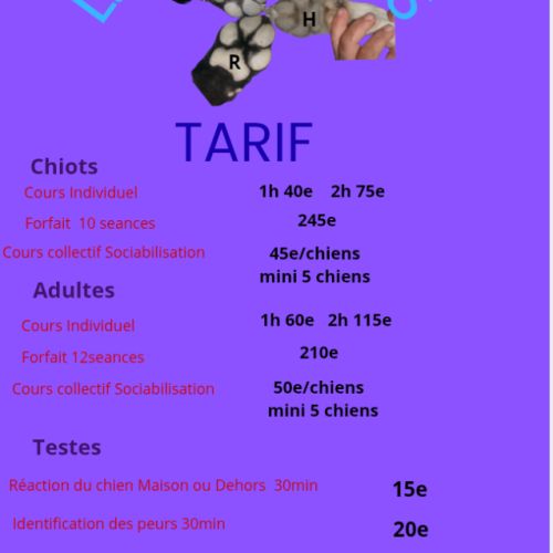 Éducatrice et comportementaliste à domicile