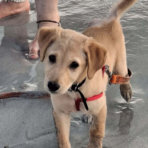 Siréna, petite miraculée #7