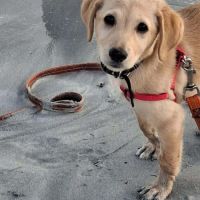 Siréna, petite miraculée #2