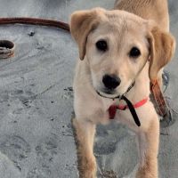 Siréna, petite miraculée #3