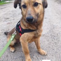 Alfi se trouve dans un refuge en ukraine #2