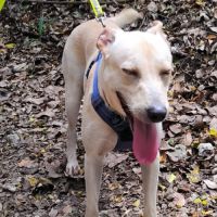 Franklin #7