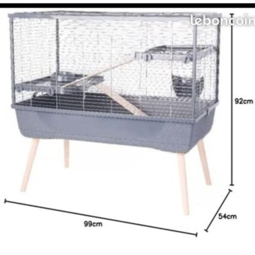 Vend lapin bélier et cage #2