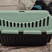 Vend lapin bélier et cage #0