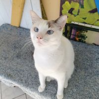 Lily rose, regardez comme je suis mignonne #3