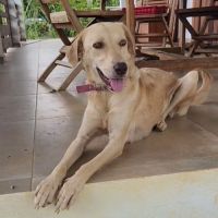 Suzie la belle et douce louloute