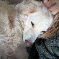 Leon adoption urgente #3