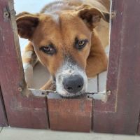 Aloka le beau gosse créole #0