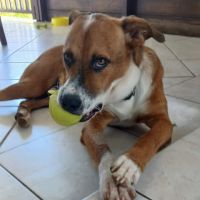 Aloka le beau gosse créole #4