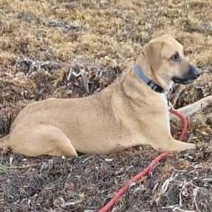 Guelia la joie de vivre #6