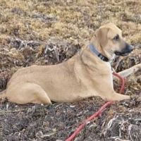 Guelia la joie de vivre #6