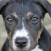 Darwin un amour de bébé #3