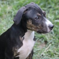 Darwin un amour de bébé #5