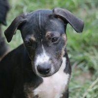 Darwin un amour de bébé #6