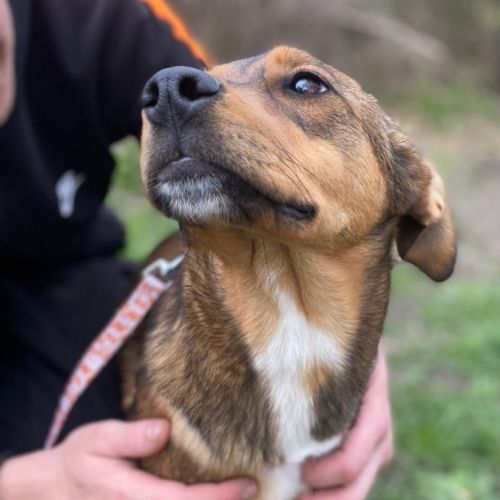 Chanel se trouve dans un refuge en ukraine #1