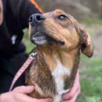 Chanel se trouve dans un refuge en ukraine #1