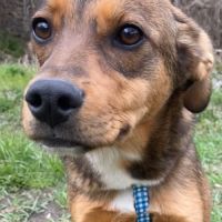 Chanel se trouve dans un refuge en ukraine #3