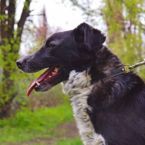 Beam se trouve dans un refuge en ukraine #2