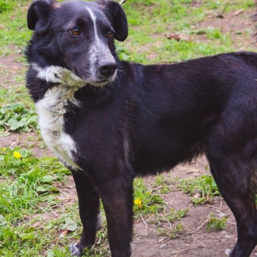 Beam se trouve dans un refuge en ukraine #4