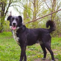 Beam se trouve dans un refuge en ukraine #1