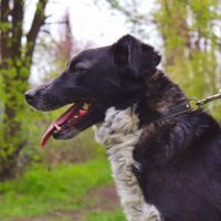 Beam se trouve dans un refuge en ukraine #2