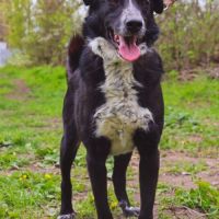 Beam se trouve dans un refuge en ukraine