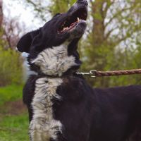 Beam se trouve dans un refuge en ukraine #5