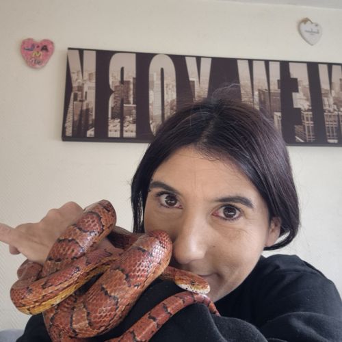 Donne couleuvre