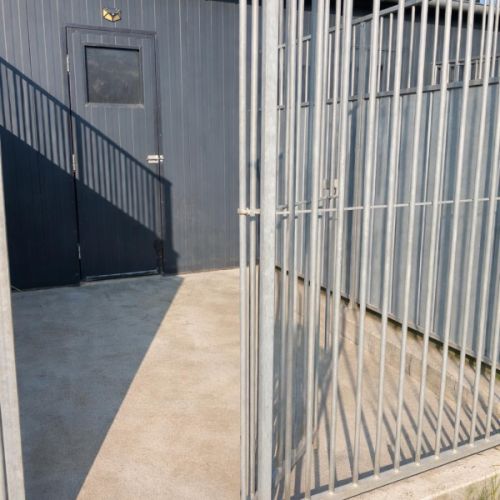 Pension canine dans la manche #2