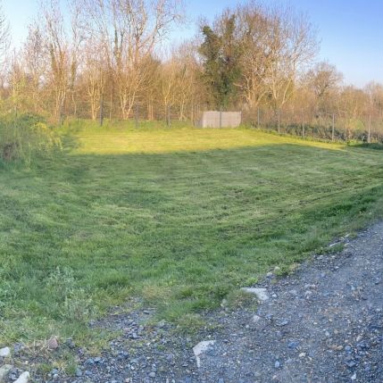 Pension canine dans la manche #3