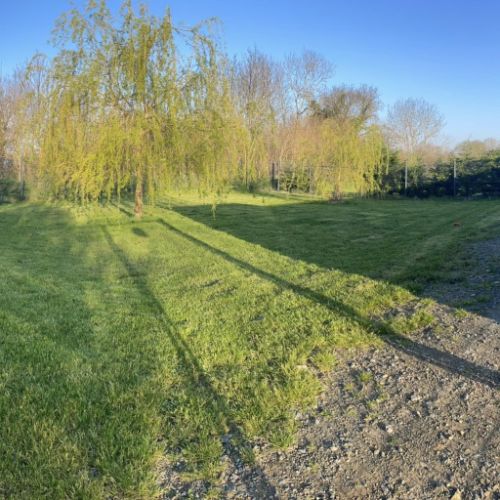 Pension canine dans la manche #0